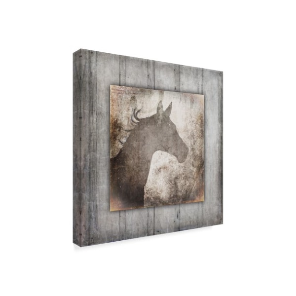 Lightboxjournal 'Gypsy Horse Left Frame.' Canvas Art,18x18